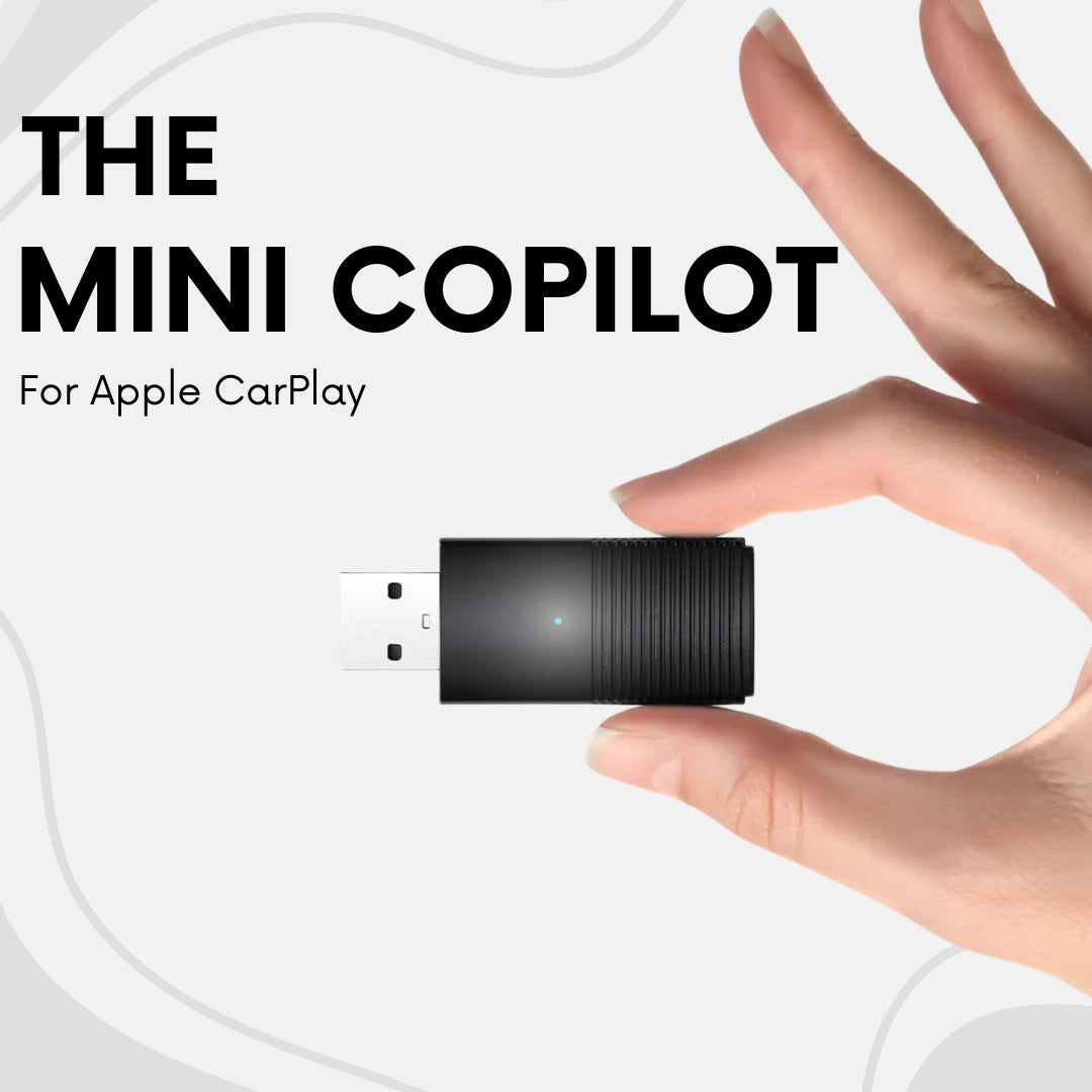 The Mini CoPilot